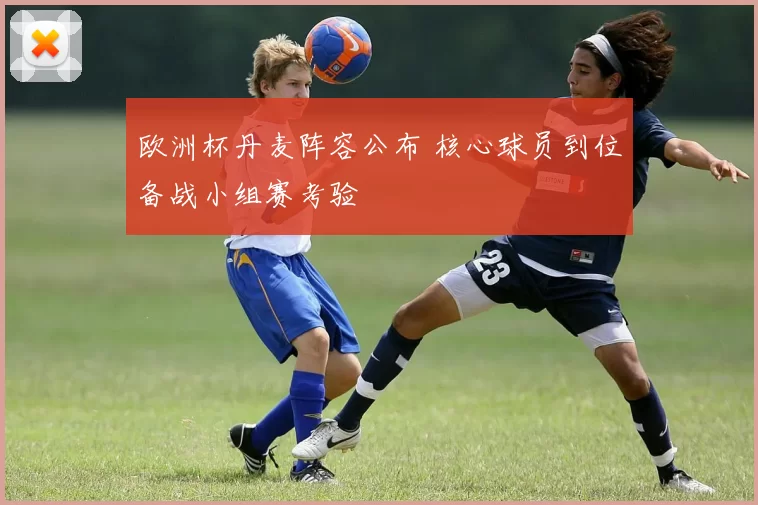 欧洲杯丹麦阵容公布 核心球员到位备战小组赛考验