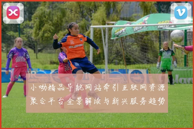 小呦精品导航网站牵引互联网资源聚合平台全景解读与新兴服务趋势