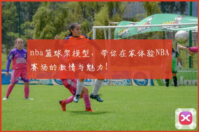 nba篮球架模型，带你在家体验NBA赛场的激情与魅力！