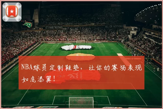 NBA球员定制鞋垫，让你的赛场表现如虎添翼！