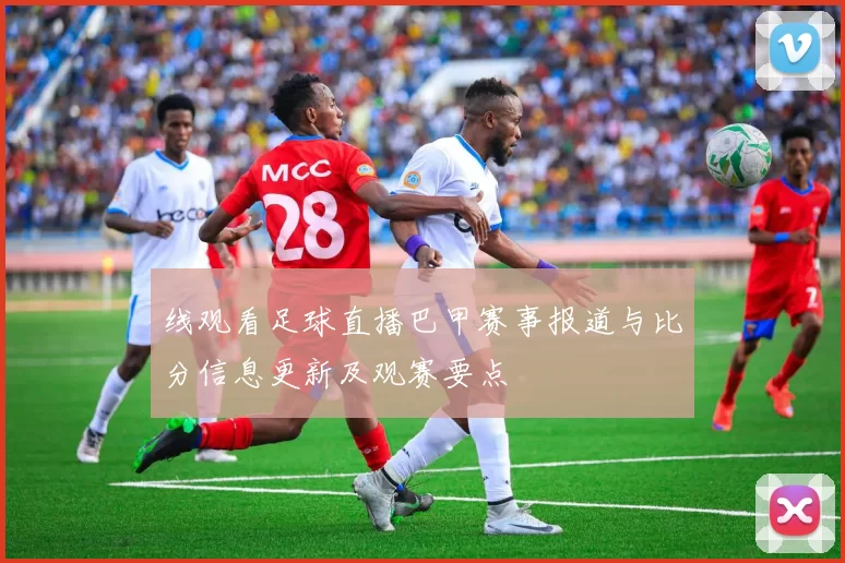 线观看足球直播巴甲赛事报道与比分信息更新及观赛要点