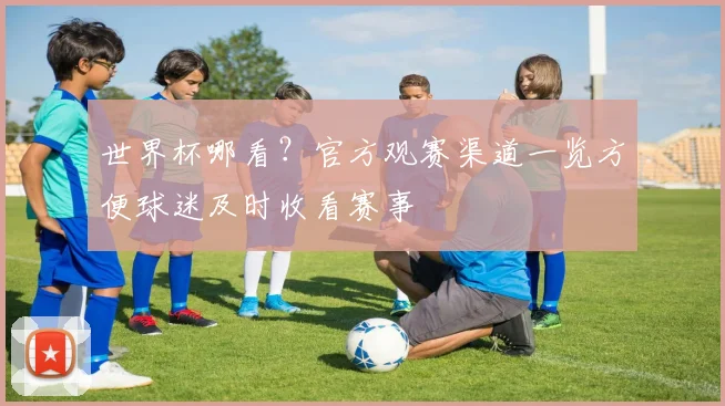 世界杯哪看？官方观赛渠道一览方便球迷及时收看赛事