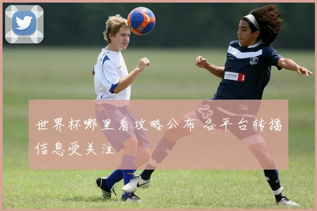 世界杯哪里看攻略公布 各平台转播信息受关注