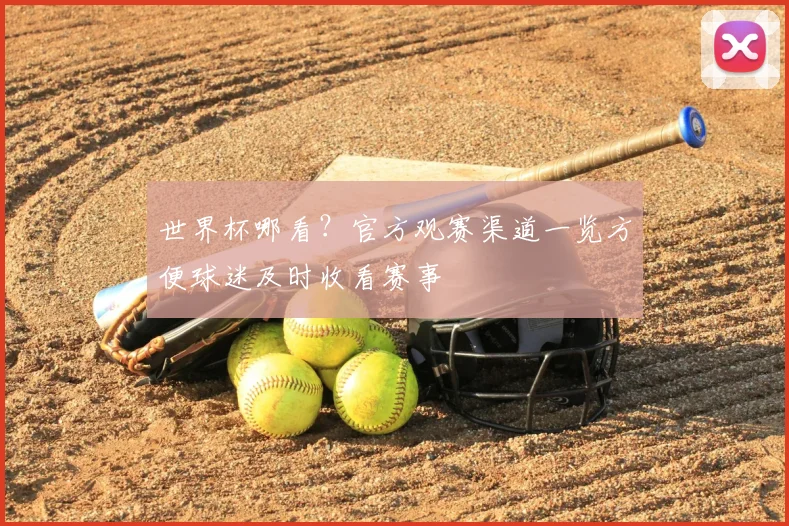 世界杯哪看？官方观赛渠道一览方便球迷及时收看赛事
