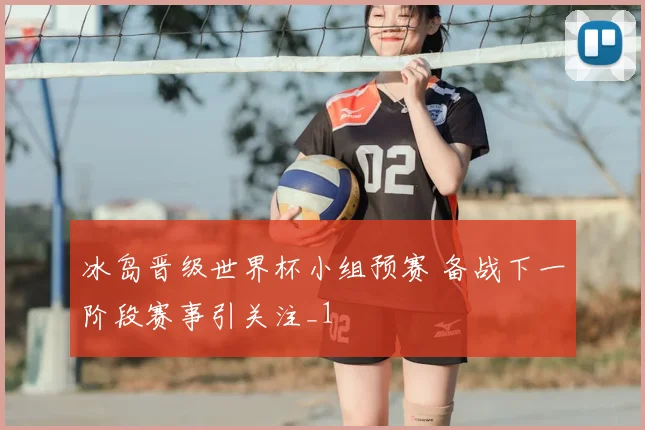 冰岛晋级世界杯小组预赛 备战下一阶段赛事引关注_1