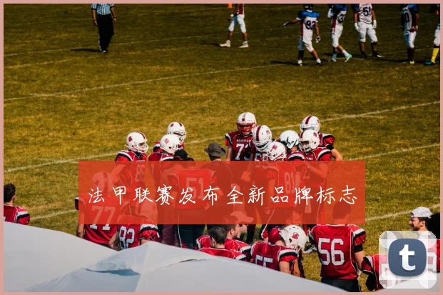 法甲联赛发布全新品牌标志