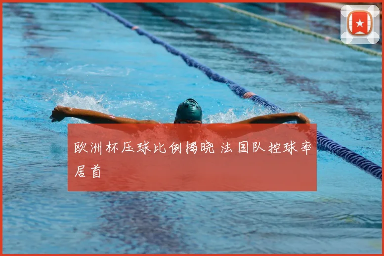 欧洲杯压球比例揭晓 法国队控球率居首